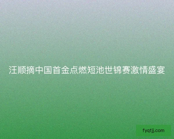 汪顺摘中国首金点燃短池世锦赛激情盛宴