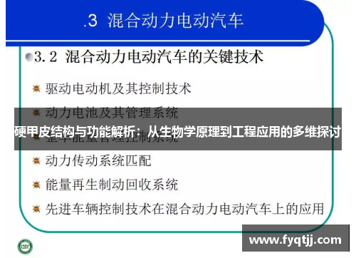 硬甲皮结构与功能解析：从生物学原理到工程应用的多维探讨